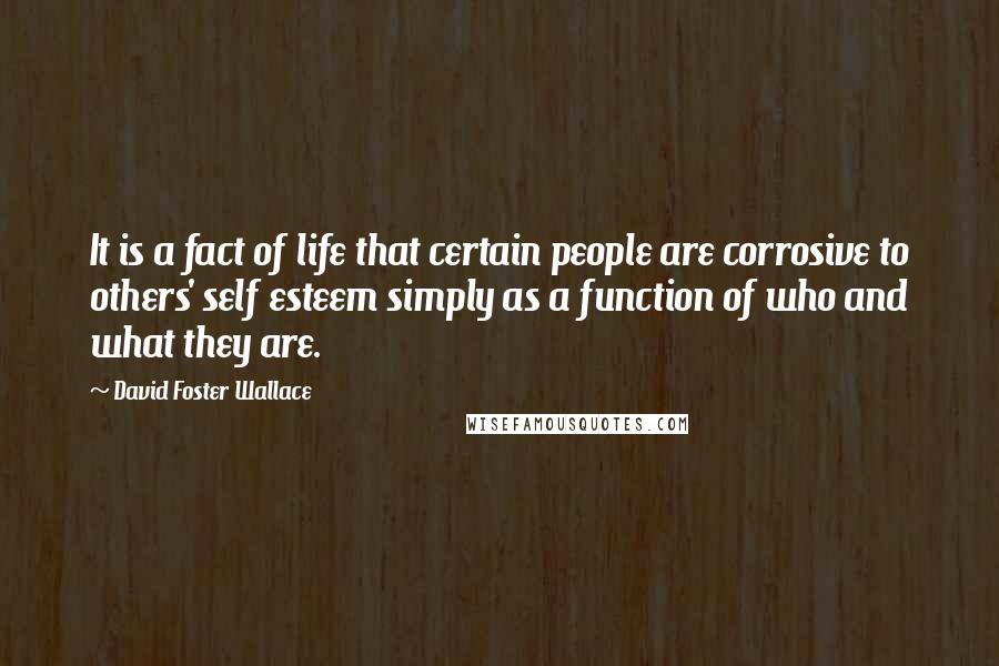David Foster Wallace Quotes: It is a fact of life that certain people are corrosive to others' self esteem simply as a function of who and what they are.