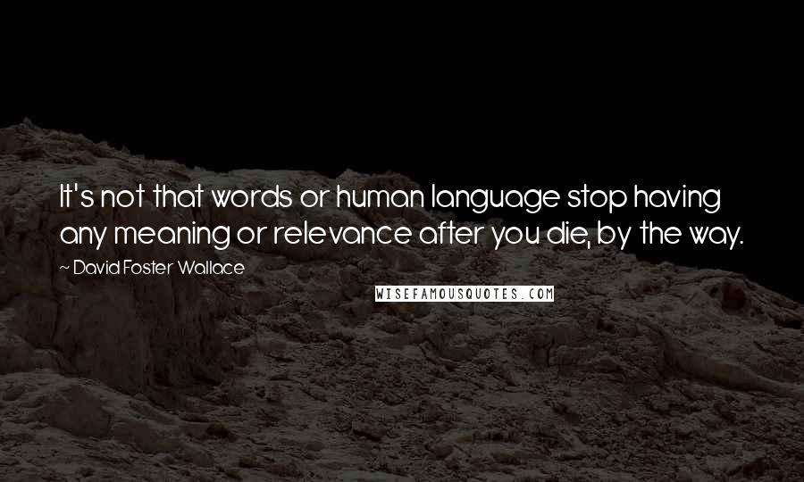 David Foster Wallace Quotes: It's not that words or human language stop having any meaning or relevance after you die, by the way.