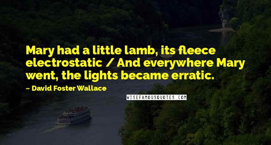 David Foster Wallace Quotes: Mary had a little lamb, its fleece electrostatic / And everywhere Mary went, the lights became erratic.