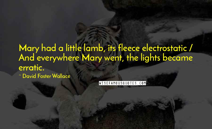 David Foster Wallace Quotes: Mary had a little lamb, its fleece electrostatic / And everywhere Mary went, the lights became erratic.