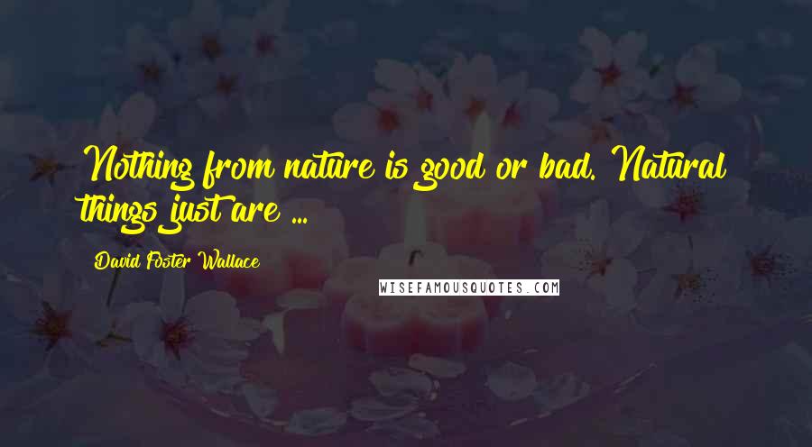 David Foster Wallace Quotes: Nothing from nature is good or bad. Natural things just are ...