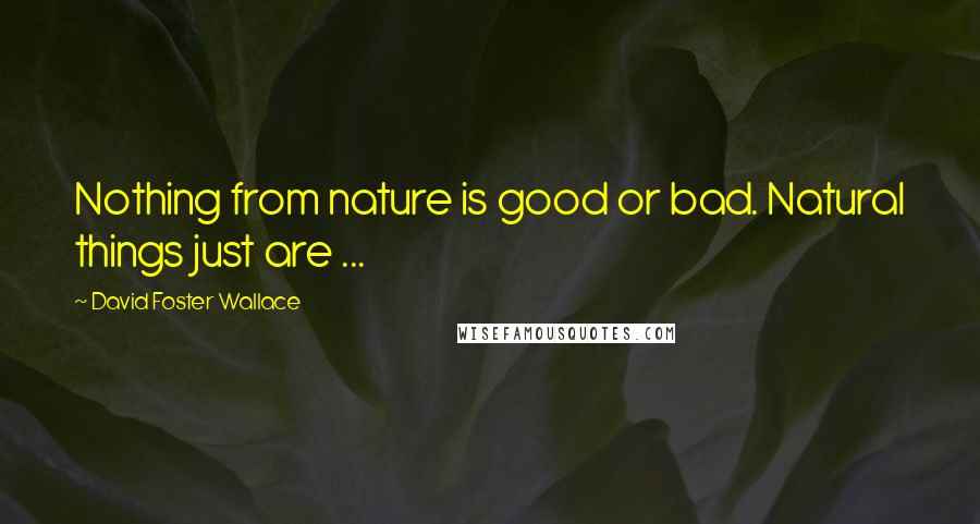 David Foster Wallace Quotes: Nothing from nature is good or bad. Natural things just are ...