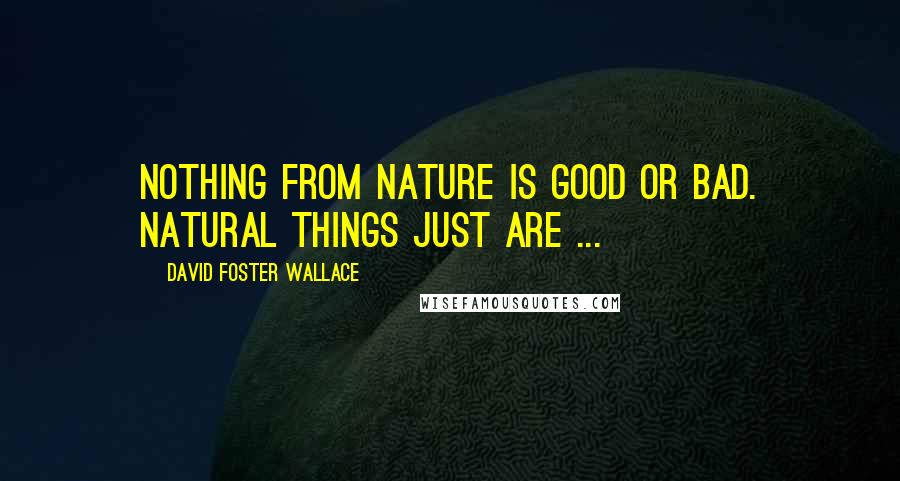 David Foster Wallace Quotes: Nothing from nature is good or bad. Natural things just are ...