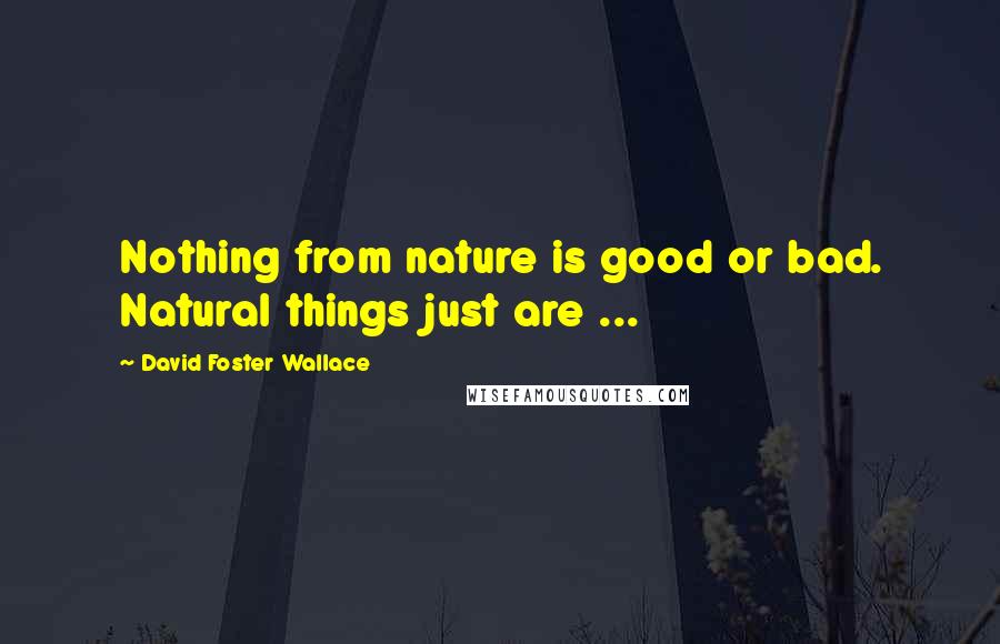 David Foster Wallace Quotes: Nothing from nature is good or bad. Natural things just are ...