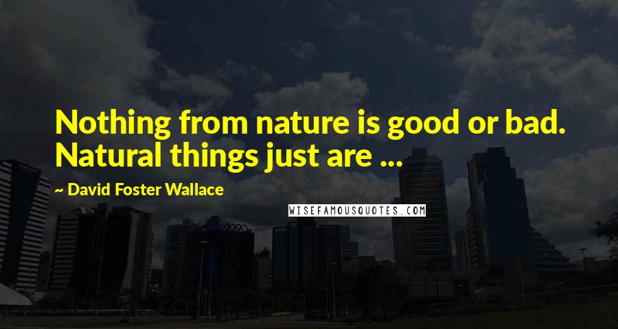 David Foster Wallace Quotes: Nothing from nature is good or bad. Natural things just are ...