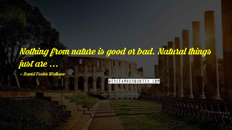 David Foster Wallace Quotes: Nothing from nature is good or bad. Natural things just are ...
