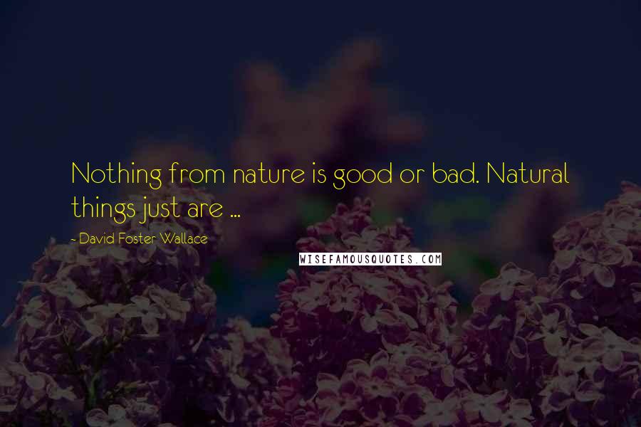 David Foster Wallace Quotes: Nothing from nature is good or bad. Natural things just are ...