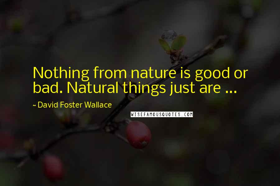 David Foster Wallace Quotes: Nothing from nature is good or bad. Natural things just are ...