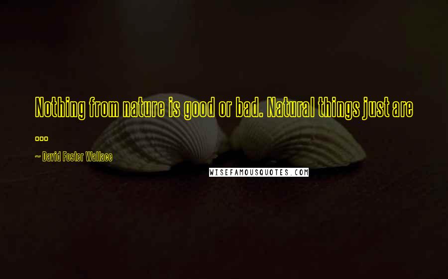 David Foster Wallace Quotes: Nothing from nature is good or bad. Natural things just are ...