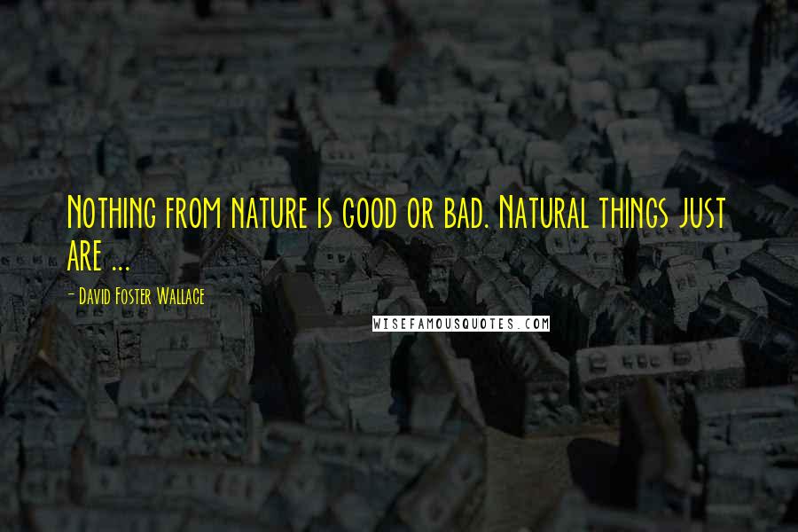 David Foster Wallace Quotes: Nothing from nature is good or bad. Natural things just are ...