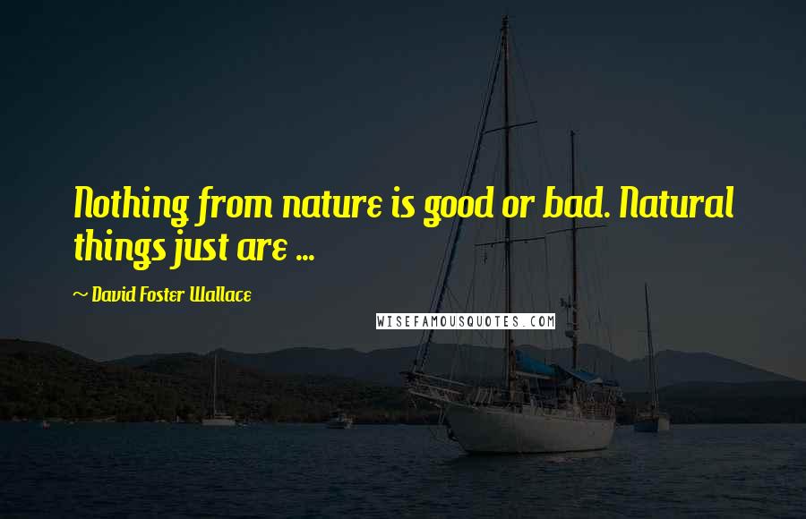 David Foster Wallace Quotes: Nothing from nature is good or bad. Natural things just are ...