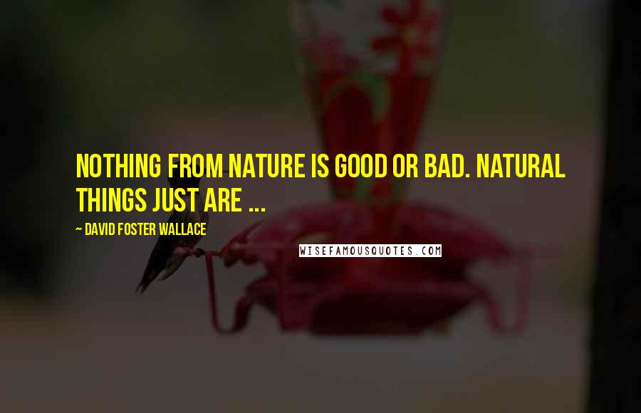 David Foster Wallace Quotes: Nothing from nature is good or bad. Natural things just are ...