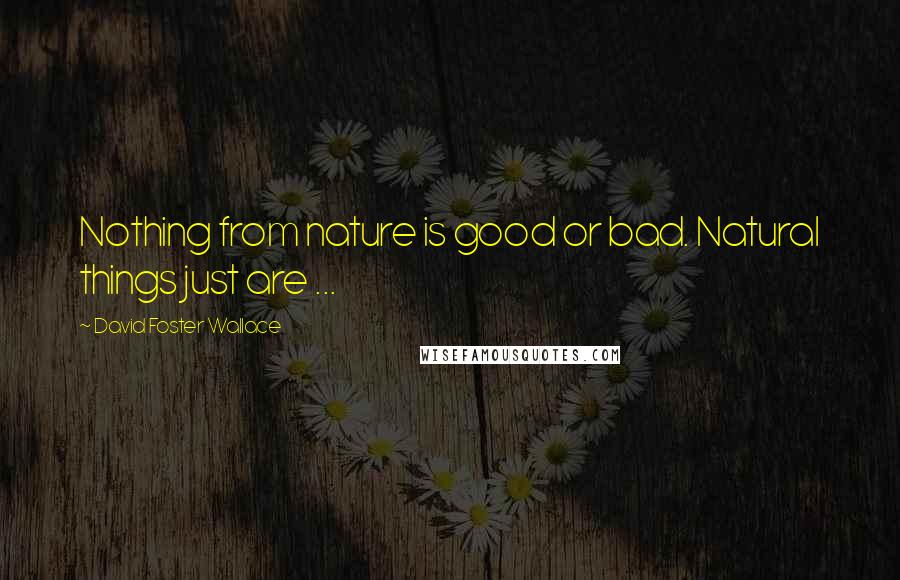 David Foster Wallace Quotes: Nothing from nature is good or bad. Natural things just are ...