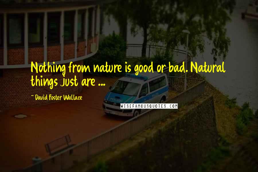 David Foster Wallace Quotes: Nothing from nature is good or bad. Natural things just are ...