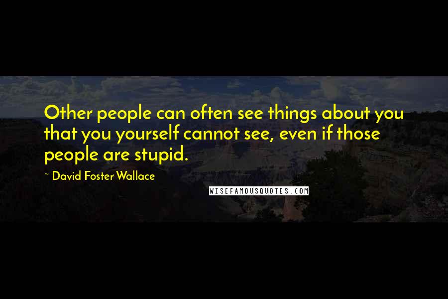 David Foster Wallace Quotes: Other people can often see things about you that you yourself cannot see, even if those people are stupid.