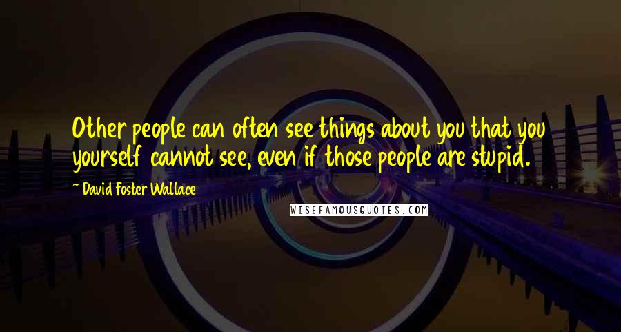 David Foster Wallace Quotes: Other people can often see things about you that you yourself cannot see, even if those people are stupid.