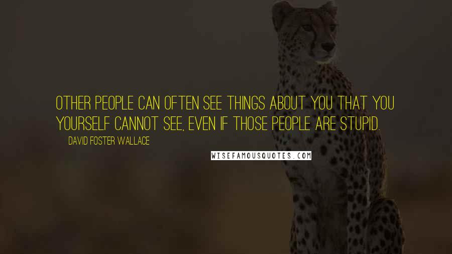 David Foster Wallace Quotes: Other people can often see things about you that you yourself cannot see, even if those people are stupid.