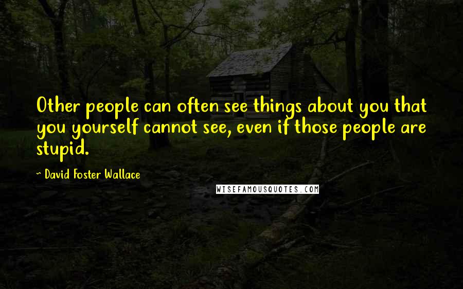 David Foster Wallace Quotes: Other people can often see things about you that you yourself cannot see, even if those people are stupid.