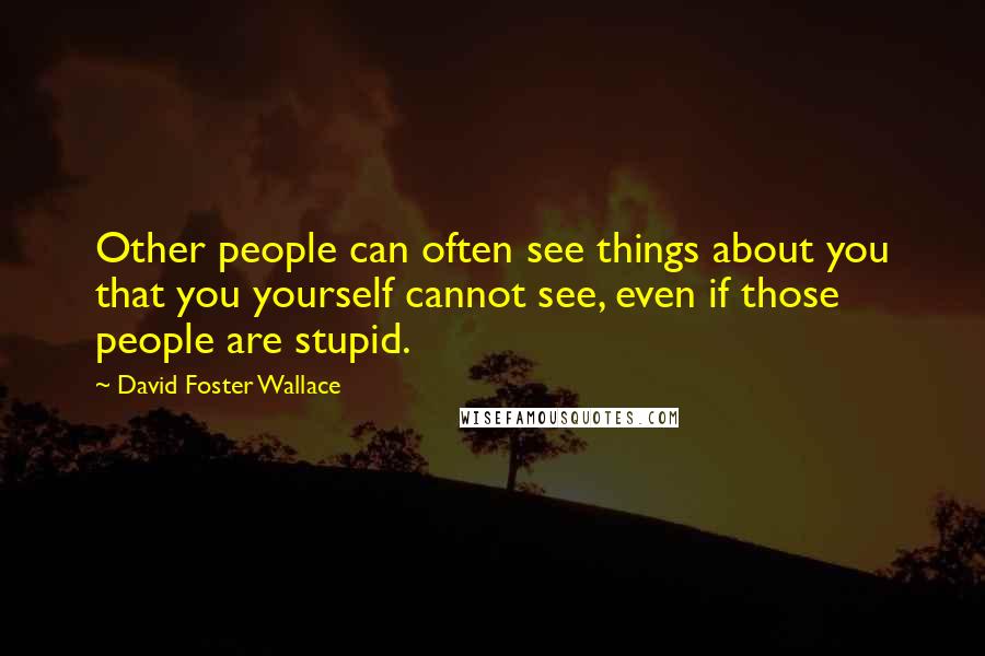 David Foster Wallace Quotes: Other people can often see things about you that you yourself cannot see, even if those people are stupid.