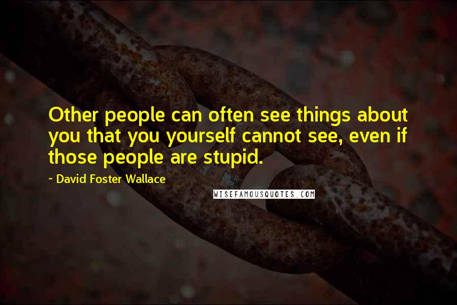 David Foster Wallace Quotes: Other people can often see things about you that you yourself cannot see, even if those people are stupid.