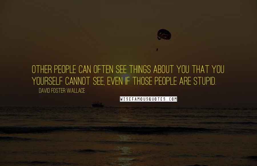 David Foster Wallace Quotes: Other people can often see things about you that you yourself cannot see, even if those people are stupid.