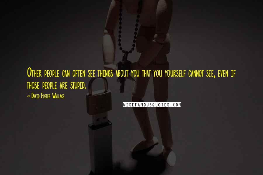 David Foster Wallace Quotes: Other people can often see things about you that you yourself cannot see, even if those people are stupid.
