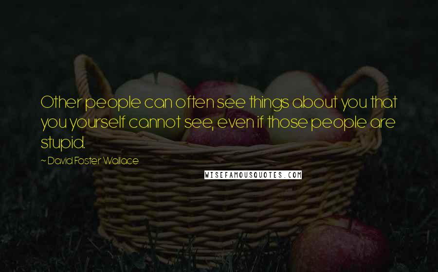 David Foster Wallace Quotes: Other people can often see things about you that you yourself cannot see, even if those people are stupid.