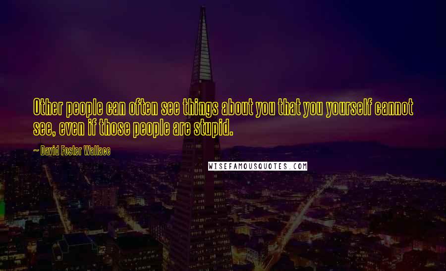 David Foster Wallace Quotes: Other people can often see things about you that you yourself cannot see, even if those people are stupid.