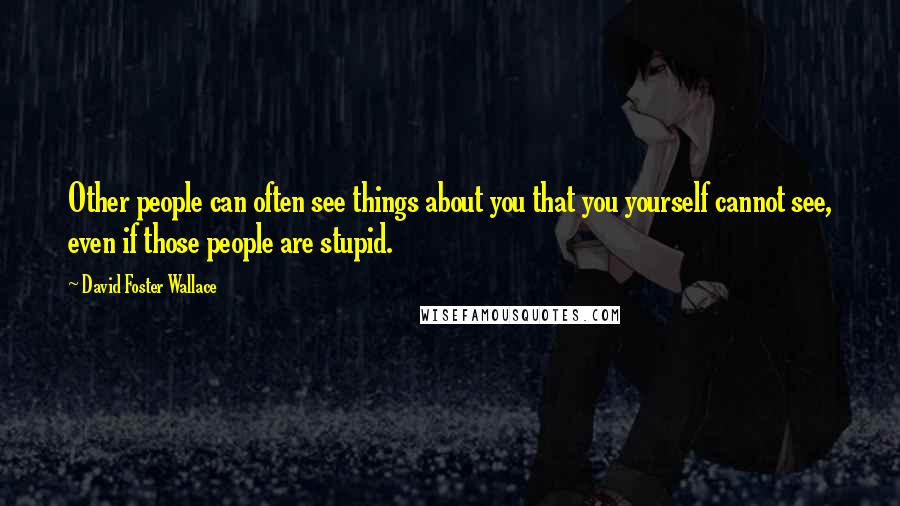 David Foster Wallace Quotes: Other people can often see things about you that you yourself cannot see, even if those people are stupid.