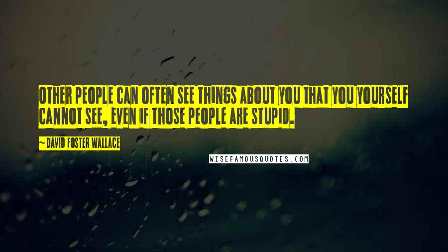 David Foster Wallace Quotes: Other people can often see things about you that you yourself cannot see, even if those people are stupid.