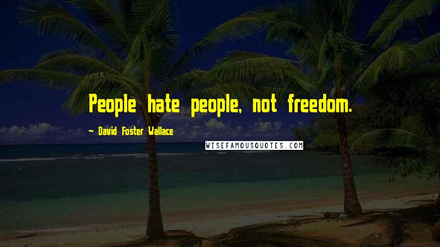 David Foster Wallace Quotes: People hate people, not freedom.