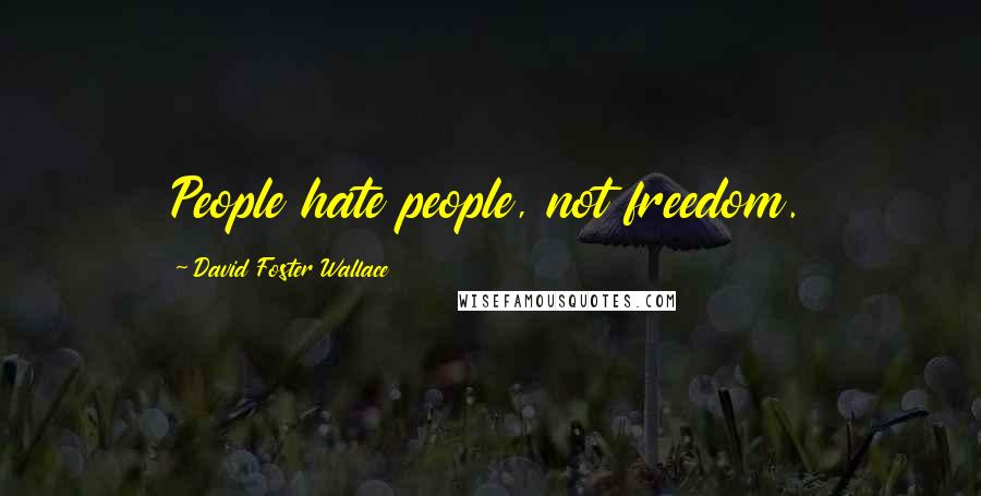 David Foster Wallace Quotes: People hate people, not freedom.