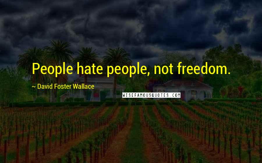 David Foster Wallace Quotes: People hate people, not freedom.