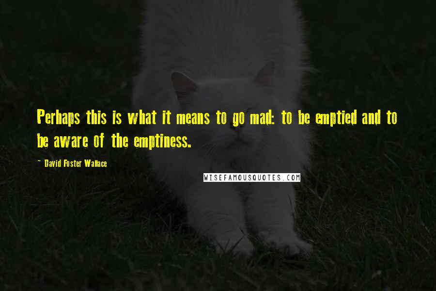 David Foster Wallace Quotes: Perhaps this is what it means to go mad: to be emptied and to be aware of the emptiness.