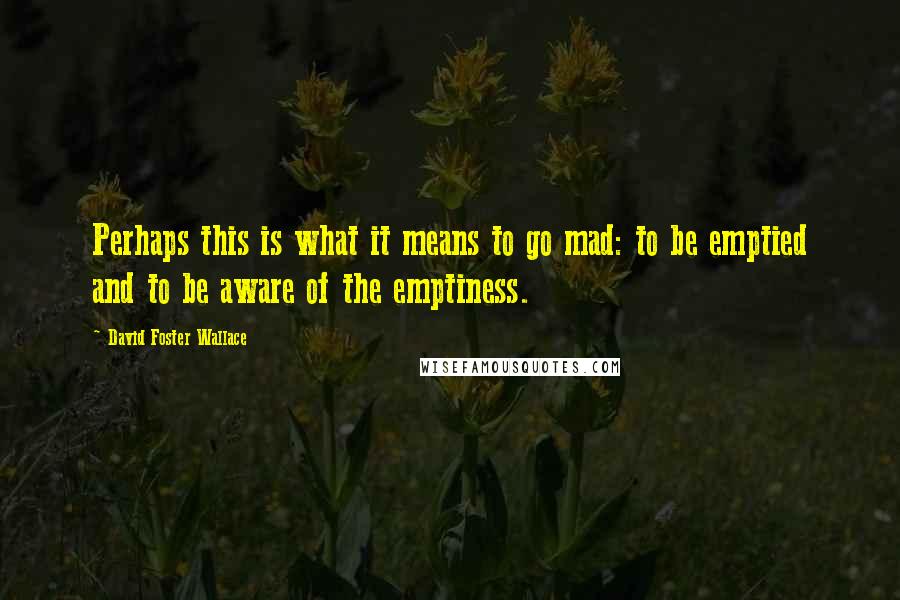 David Foster Wallace Quotes: Perhaps this is what it means to go mad: to be emptied and to be aware of the emptiness.