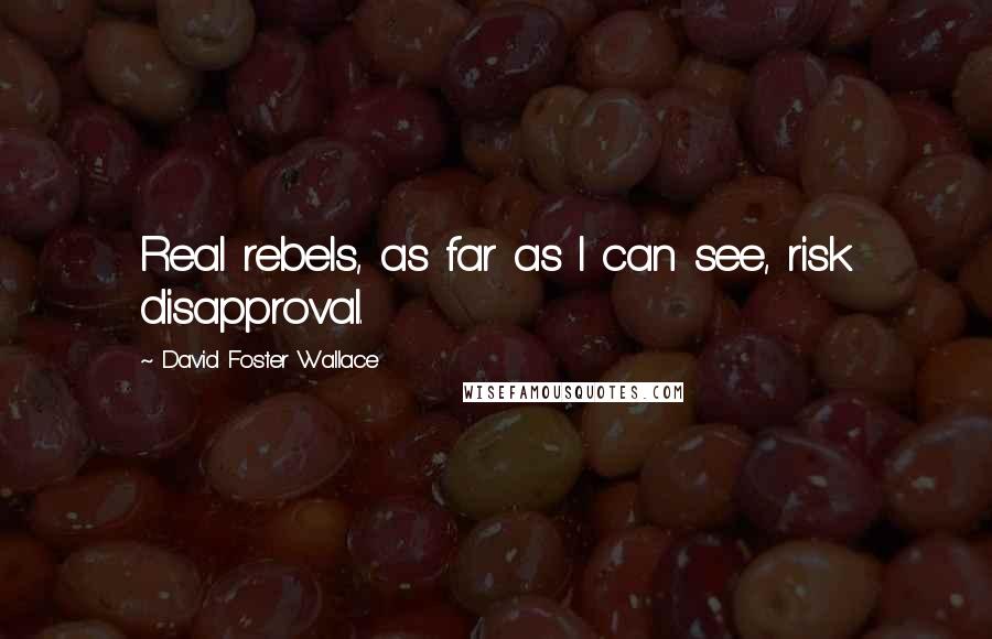 David Foster Wallace Quotes: Real rebels, as far as I can see, risk disapproval.