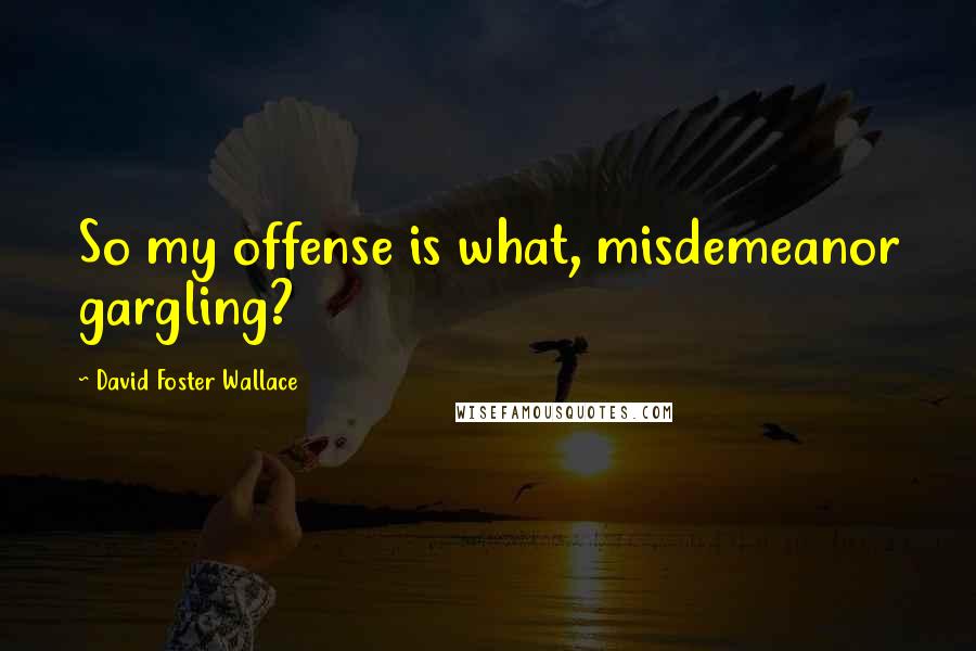 David Foster Wallace Quotes: So my offense is what, misdemeanor gargling?