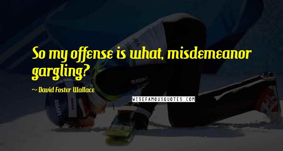 David Foster Wallace Quotes: So my offense is what, misdemeanor gargling?