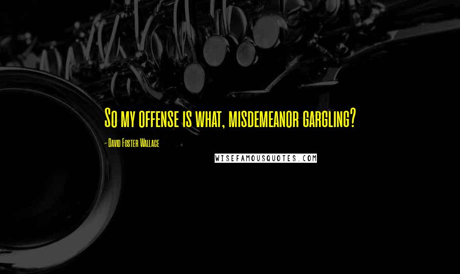 David Foster Wallace Quotes: So my offense is what, misdemeanor gargling?