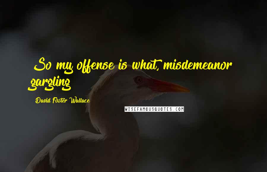 David Foster Wallace Quotes: So my offense is what, misdemeanor gargling?
