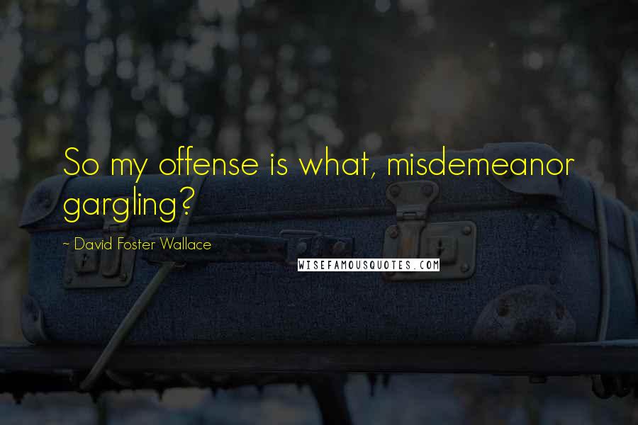 David Foster Wallace Quotes: So my offense is what, misdemeanor gargling?