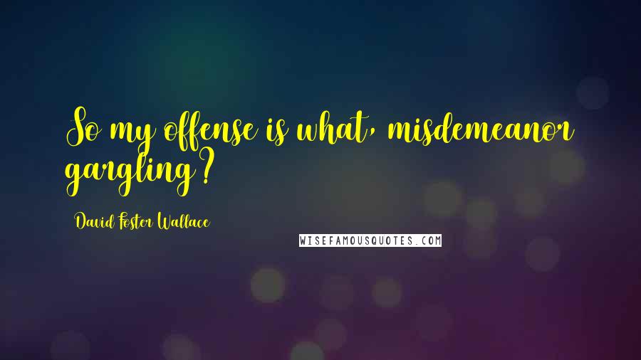 David Foster Wallace Quotes: So my offense is what, misdemeanor gargling?