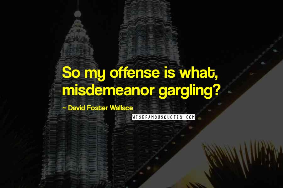 David Foster Wallace Quotes: So my offense is what, misdemeanor gargling?