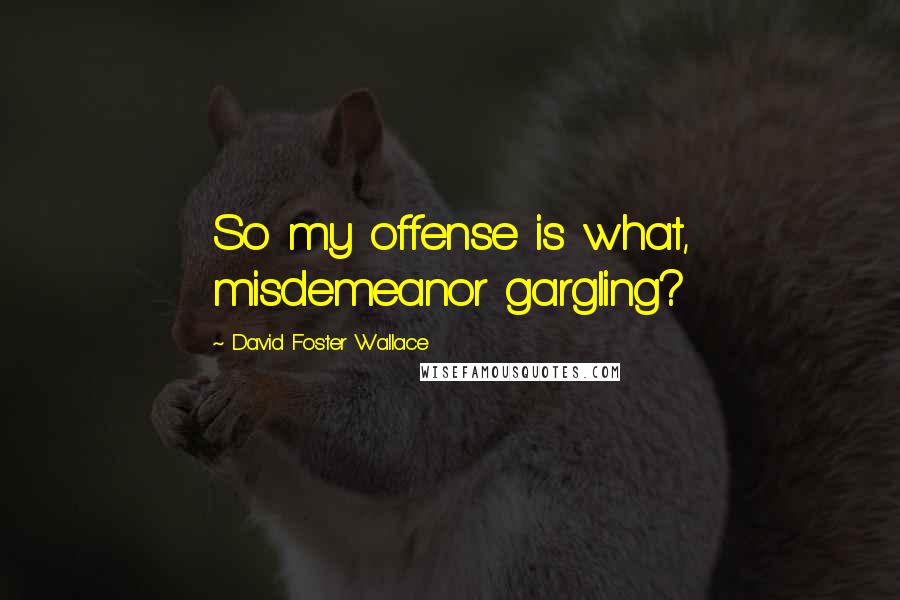 David Foster Wallace Quotes: So my offense is what, misdemeanor gargling?