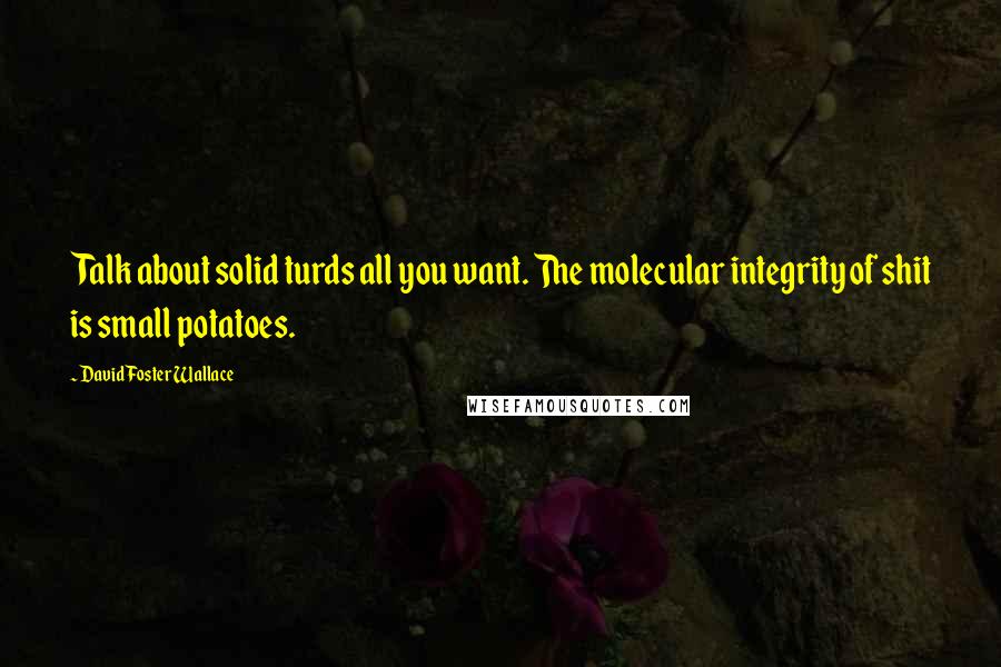 David Foster Wallace Quotes: Talk about solid turds all you want. The molecular integrity of shit is small potatoes.