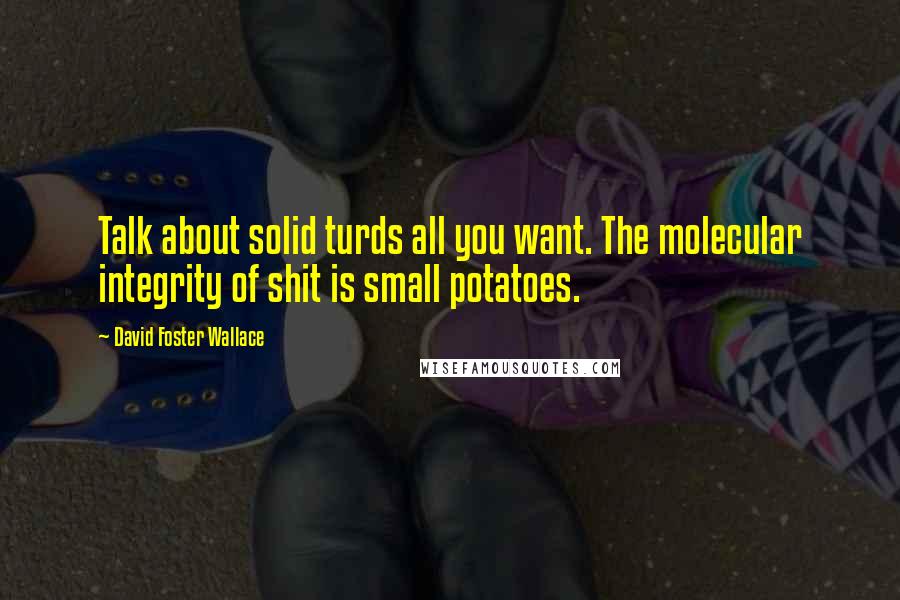David Foster Wallace Quotes: Talk about solid turds all you want. The molecular integrity of shit is small potatoes.