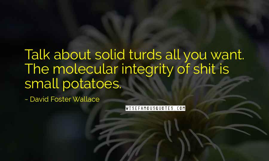 David Foster Wallace Quotes: Talk about solid turds all you want. The molecular integrity of shit is small potatoes.
