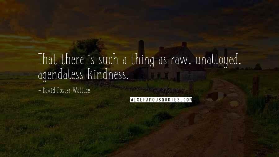 David Foster Wallace Quotes: That there is such a thing as raw, unalloyed, agendaless kindness.