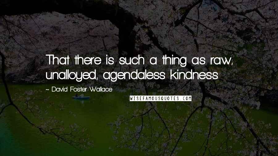 David Foster Wallace Quotes: That there is such a thing as raw, unalloyed, agendaless kindness.