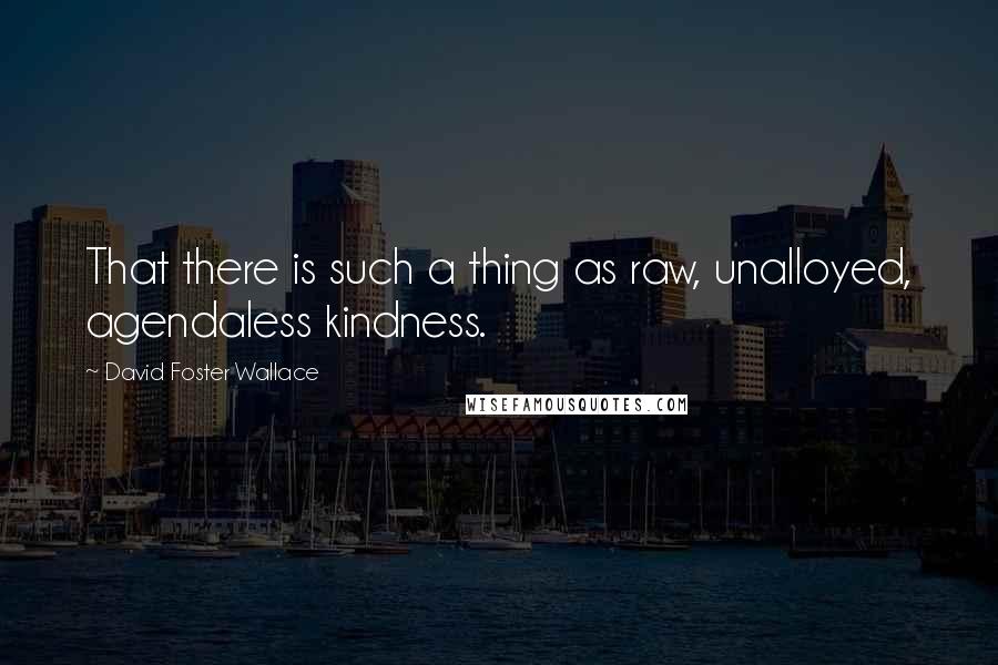 David Foster Wallace Quotes: That there is such a thing as raw, unalloyed, agendaless kindness.